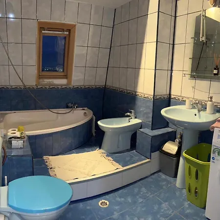 Rossalinne Apartament Ultracentral Craiova