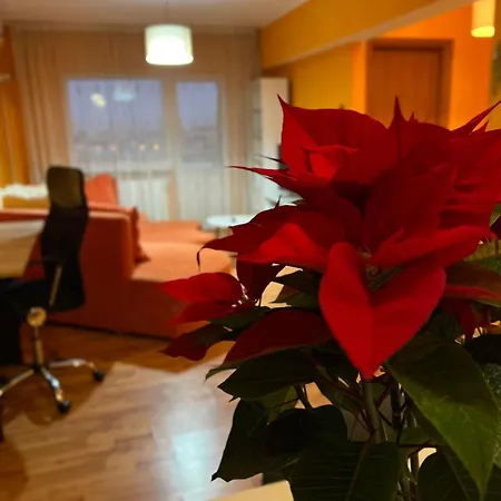 Rossalinne Apartament Ultracentral Apartment Craiova